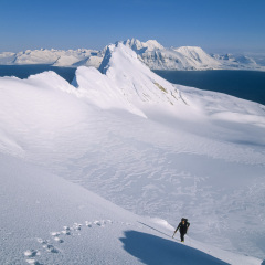 Mali jesteśmy... Mali jesteśmy...