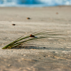 20110820_181736_1 20110820_181736_1