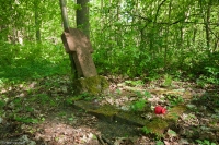 Zarośnięty cmentarz