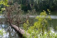 Jezioro Mieliwo