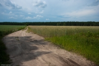 Warmińska polna droga