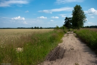 Warmińska polna droga