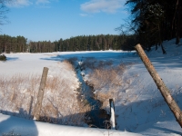 Warmiński Las