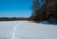 Jezioro Jełguń