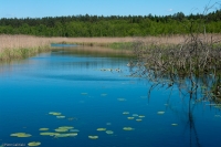 Kanał Strażym - Bachotek