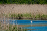 20100529_131441_1