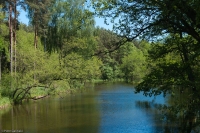 20100529_141006_1