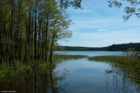 20100529_144626_1