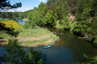 Brda