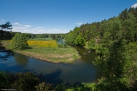 Brda
