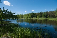 Wielki Kanał Brdy