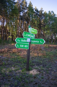 Drogowskaz