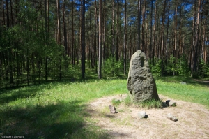 Kamienny krąg koło Leśna