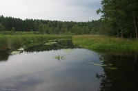 20100731_183640_1