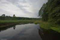 20100731_183851_1