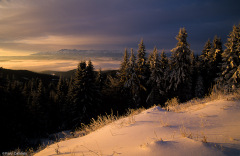 Zimowy widok na Tatry z Lubania