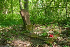 Zarośnięty cmentarz