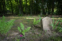 Cmentarz Orłowo