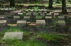 Cmentarz Orłowo
