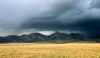 Storm over steppe
