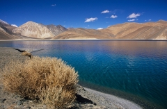 Jezioro Pangong Tso