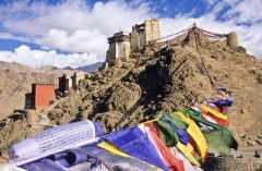 Tashi Namgyal