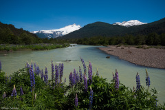 Okolice Cerro Tronador
