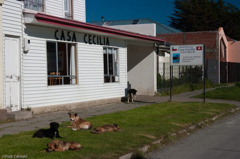 Puerto Natales