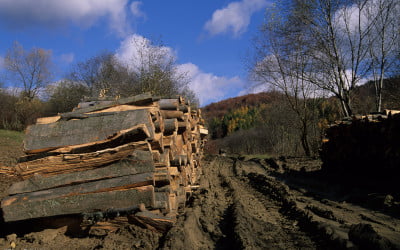 Bieszczady w „Galerii w Drodze”