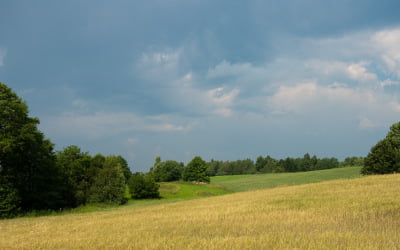 Krejwiany, Ejszeryszki, Maszutkinie…
